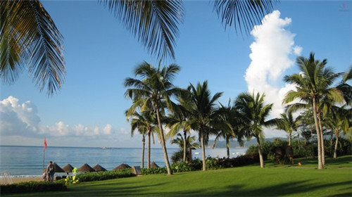 面盆下水器品牌连锁店哪家好