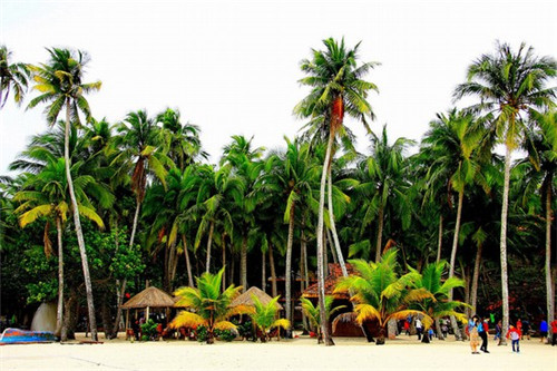 株洲市能加盟京谱小花旦吗，株洲市投资酸菜鱼创业怎么样