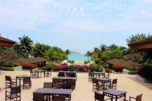 颜值遇上茶在眉山市知名度如何