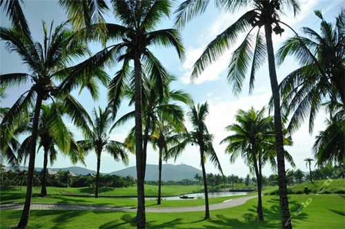 装修结束可以换洗漱台吗（已装修好的洗手间重新改造可以吗）