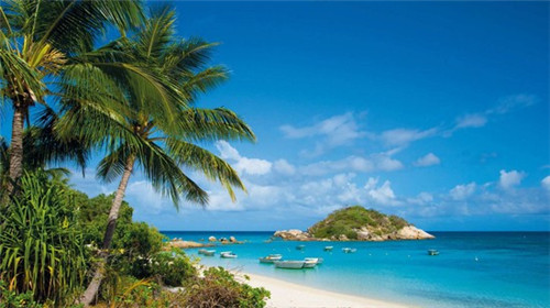 手游血手和死舞冲突吗（血手和死舞能一起出吗）