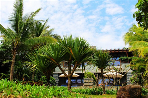 肉锅巴正宗做法（肉沫锅巴做法窍门）