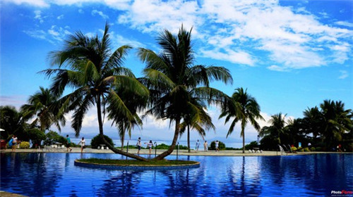 物业双证证书什么内容啊（物业行业的证书）