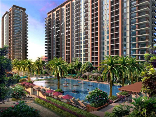 黑马餐饮管理软件，黑马餐饮加盟费多少