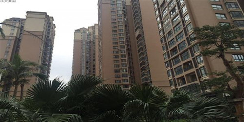 只要是女的就行是什么歌（只要是女的就是你老婆吗）