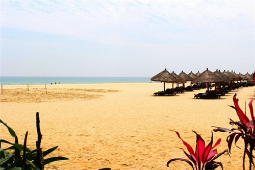 明天最火的歌是什么名字（明天的几首歌）