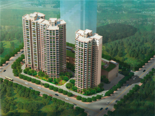 决明子十枸杞的禁忌（决明子十枸杞有什么好处）